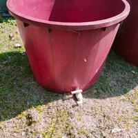 Tini per uva o altro