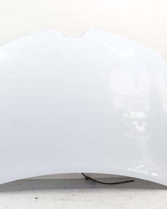 COFANO ANTERIORE RENAULT Clio Serie IV 651009833R