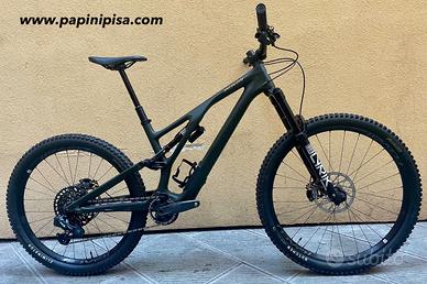 Specialized Stumpjumper Evo LTD