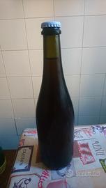 Bottiglie di vetro per vino (n°50)
