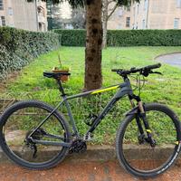 Bicicletta MTB
