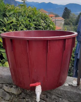 botte per vino