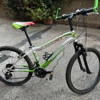 Bici mountain bike  Lombardo bambino da 24"  18vel