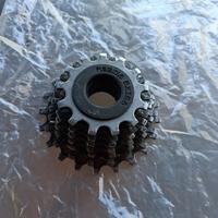 Cassetta ruota libera pignone Regina Extra 6V