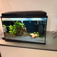 Acquario Aquatlantis 60 litri