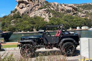 Jeep Wrangler storico omologate ruote 33