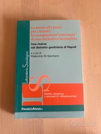 Libro la messa alla prova per i minori