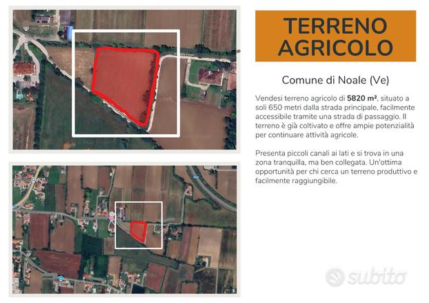 Terreno agricolo - Noale (VE)