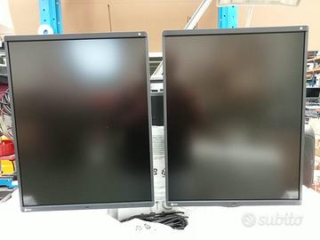 Coppia Monitor Medicali EIZO RadiForce RX560