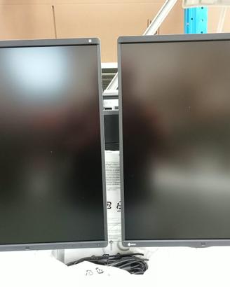 Coppia Monitor Medicali EIZO RadiForce RX560