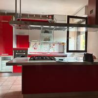 Cucina con isola. Gatto cucine