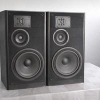 coppia casse jbl lx 55 ribordate 