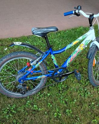 Bicicletta bambino