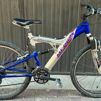 Mountain bike