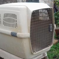 Trasportino per cani
