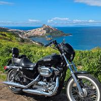 harley davidson xl1200