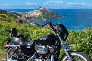 harley davidson xl1200