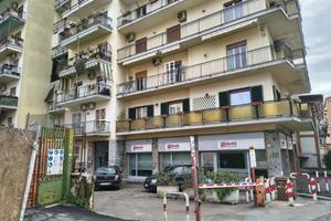 Cantina Napoli [COLLIAMINEI24LACG]