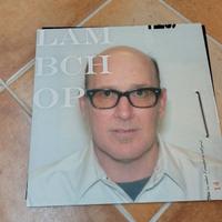 Lambchop This (is what i wanted to tell you) Vinil