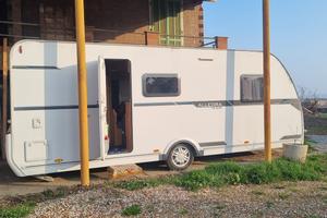 Caravellair allegra 556