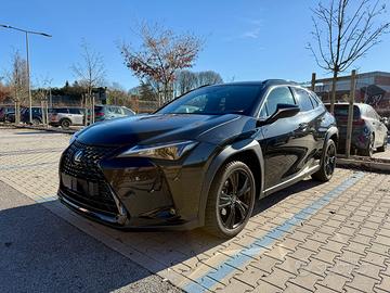 Lexus UX 250h Hybrid 4WD Midnight