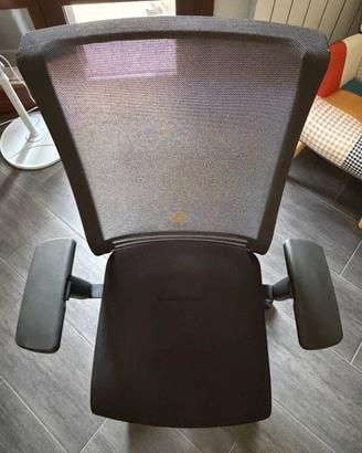 Sedia