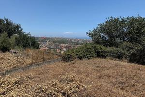 Terreno - Aci Catena