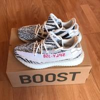 Yeezy boost 350 v2