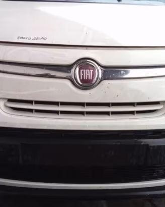 Musata fiat 500l 2016