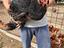 Immagine 1