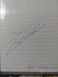 Lotto 32 autografi stupendo