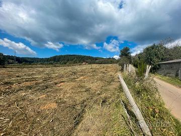 Splendido Terreno in Sila - Loc. Pantane Taverna