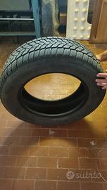 Gomme antineve