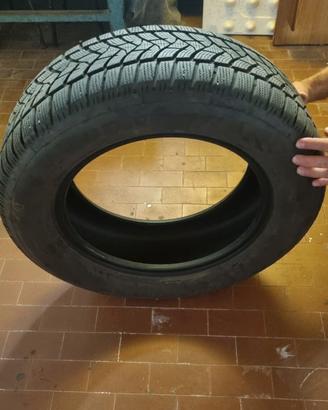 Gomme antineve