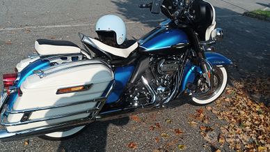 Harley davidson electra glide revival