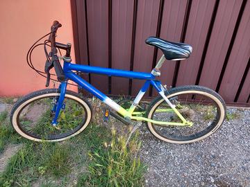 bicicletta