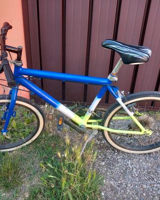 bicicletta