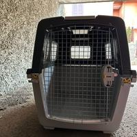 trasportino tagliata 7 mai usato 