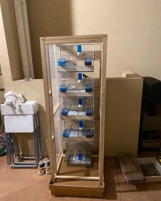 Gabbie uccelli voliera