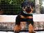 Immagine 20