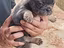 Immagine 5