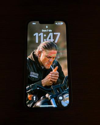 Iphone 13 pro 512gb