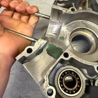 CARTER AM6 preparati