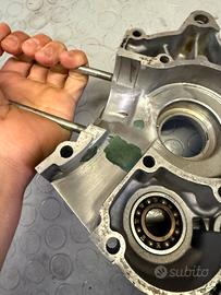 CARTER AM6 preparati