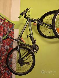 Bici lombardo