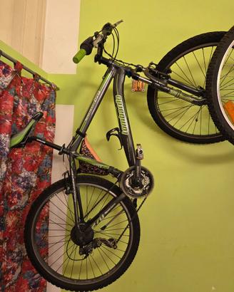 Bici lombardo