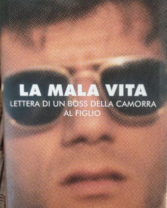 Mario Savio: la mala vita 