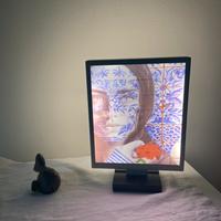 Lampada da arredamento