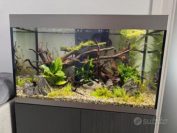 Acquario Askol Opera 150