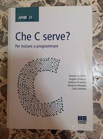 Libro universitario ingegneria informatica